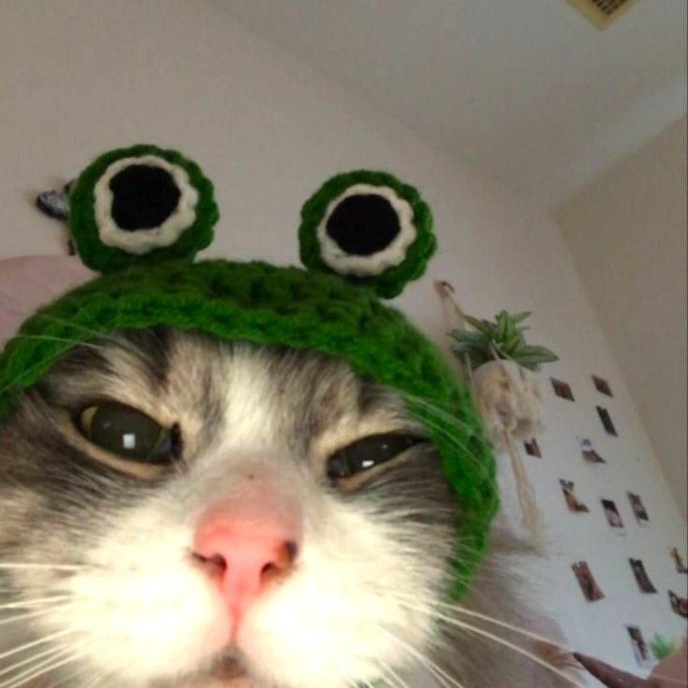 Meet your Posher, Sheyla